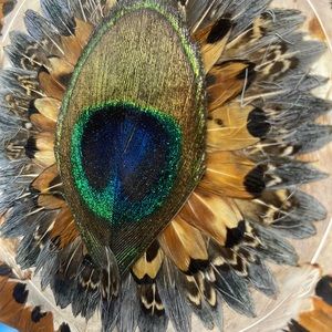 Peacock feathered clutch or letter carrier